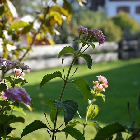 Pension Willibald Bad Tölz Extérieur photo