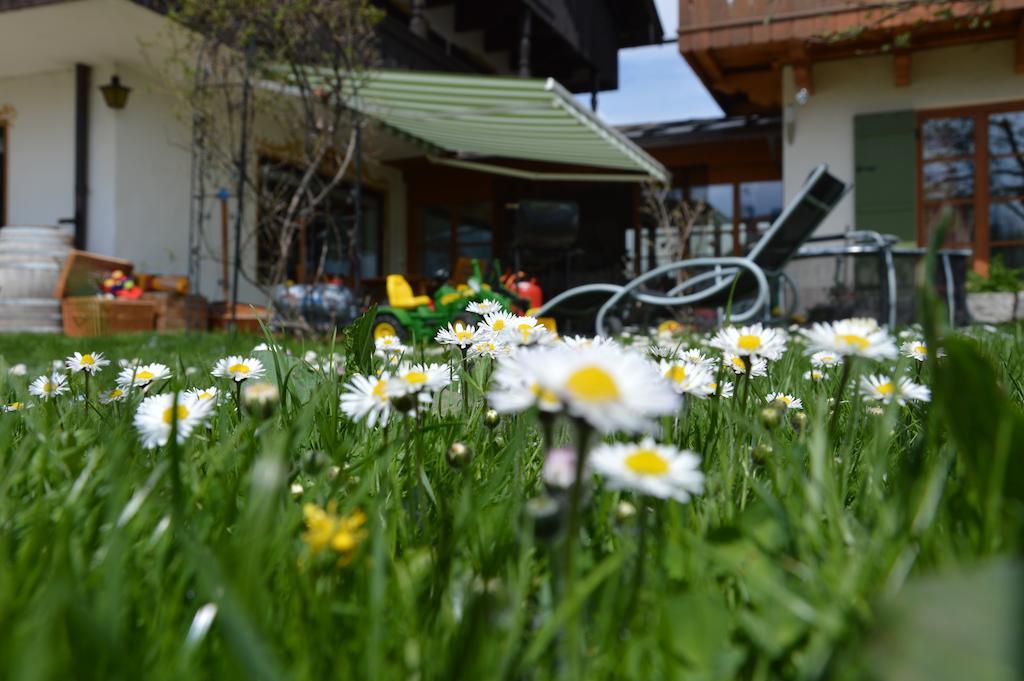 Pension Willibald Bad Tölz Extérieur photo